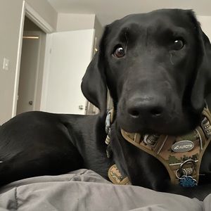 Meet your Posher, Anita